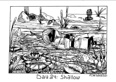 Day24 : Shallow Day24 : Shallow